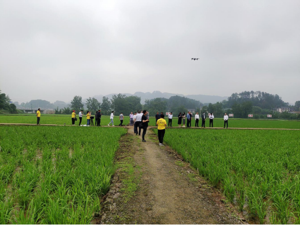 新闻通稿:储备安全 科学减损——2023年重庆市粮食科技活动周启动1276.png