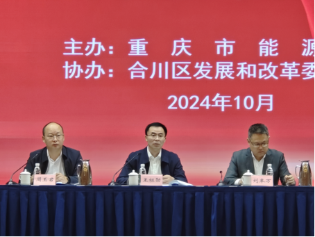 市能源局组织油气长输管道安全保护监管2024年业务培训会657.png